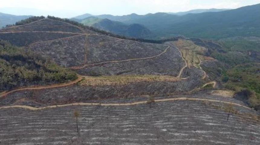 İzmir'deki Yangında, Ekipler Hem Alevlerle, Hem De R&uuml;zgarla M&uuml;cadele Ediyor