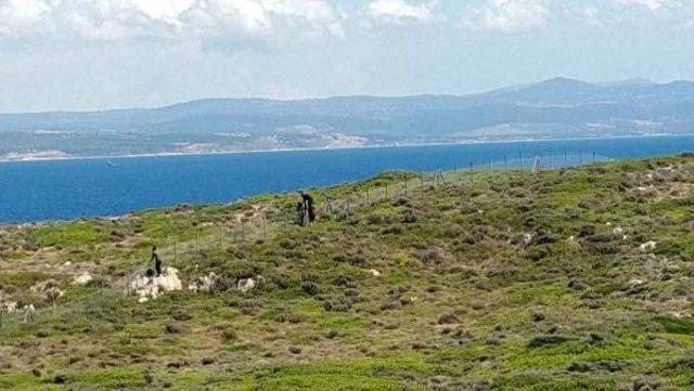 Çanakkale'de Kaçakları Taşıyan Yat Battı, Faciadan Dönüldü