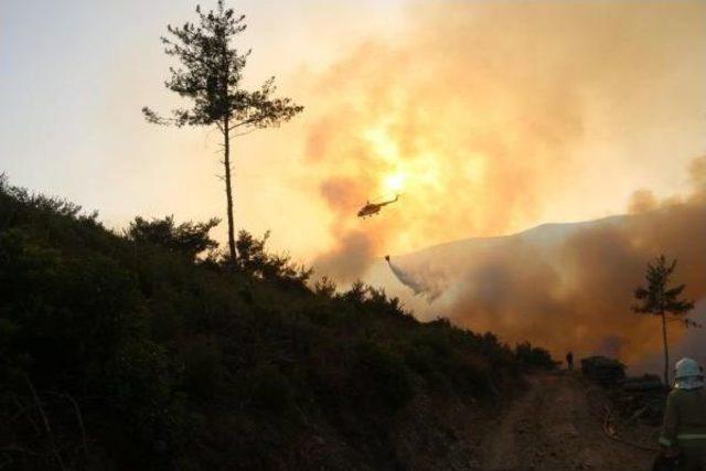 İzmir'deki Yangında, Ekipler Hem Alevlerle, Hem De Rüzgarla Mücadele Ediyor (2)