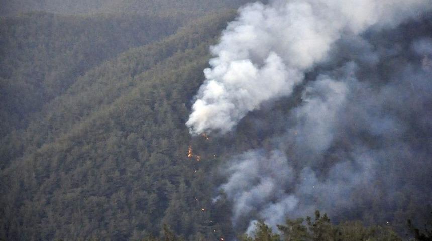 Hatay&rsquo;da &Ccedil;ıkan Orman Yangını S&uuml;r&uuml;yor