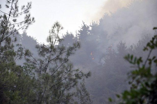 Hatay’da Çıkan Orman Yangını Sürüyor