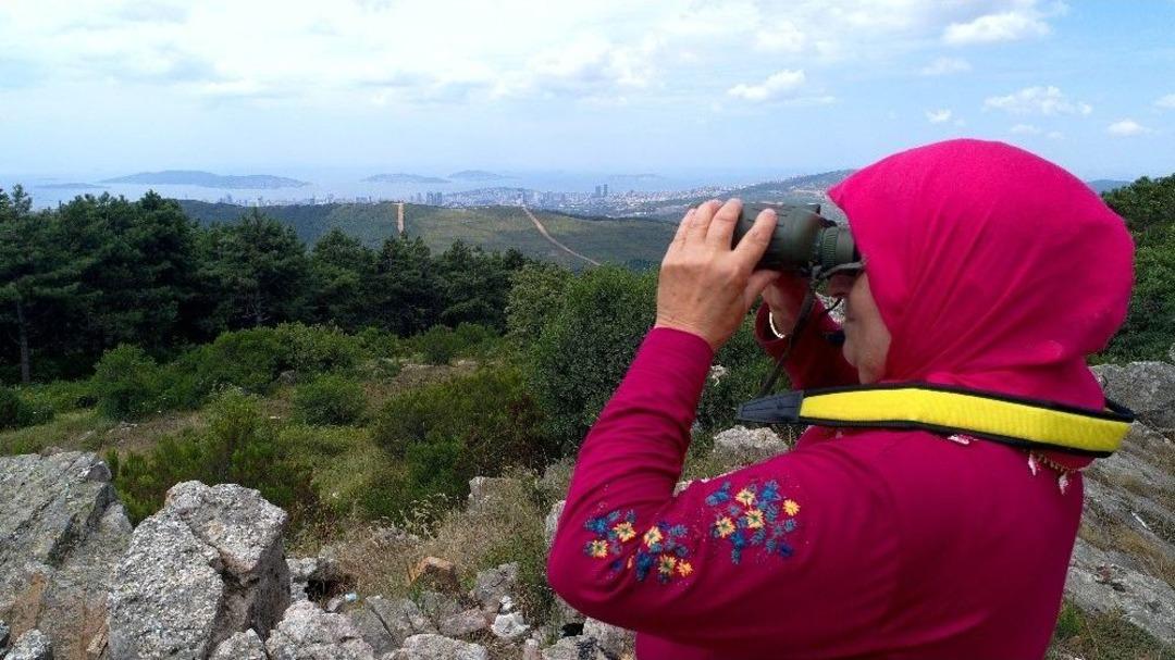 (&ouml;zel Haber) Ormanlar Ayda Teyzeye Emanet