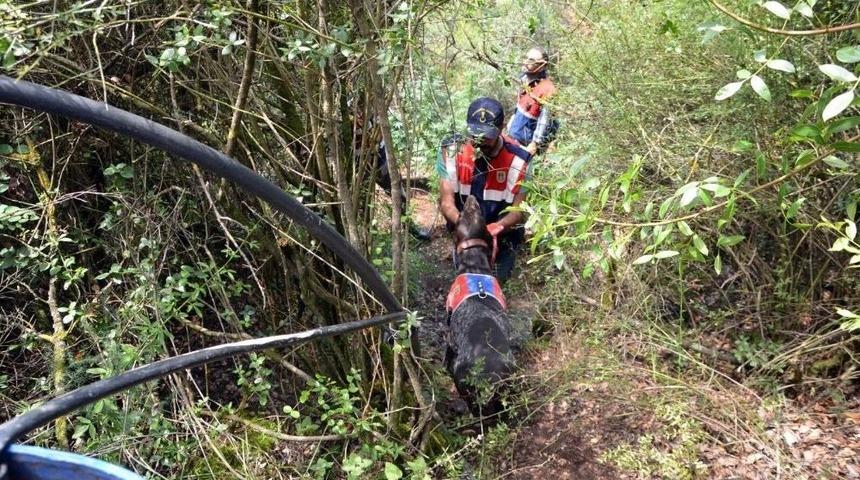Uyuşturucu Yetiştiricisine Drone Ve K&ouml;pekli Operasyon