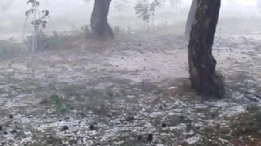 Dolu, Ezine'yi Vurdu