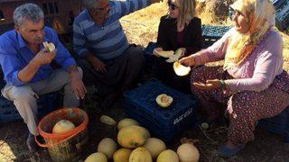 İl Müdürü Kadıoğlu Domates Ve Kavun Üreticileri İle Bir Araya Geldi