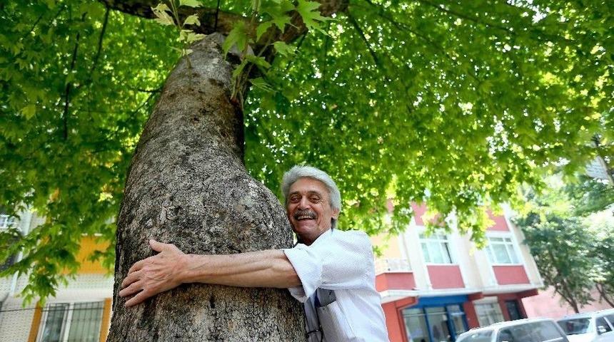 Gen&ccedil;liğinde Diktiği &Ccedil;ınarların G&ouml;lgesinde Emekliliğini Yaşıyor