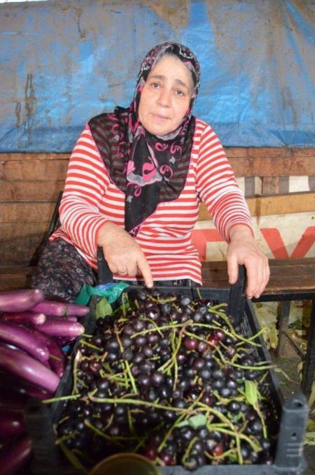 Karayemiş’de ’siyanür’ Uyarısı