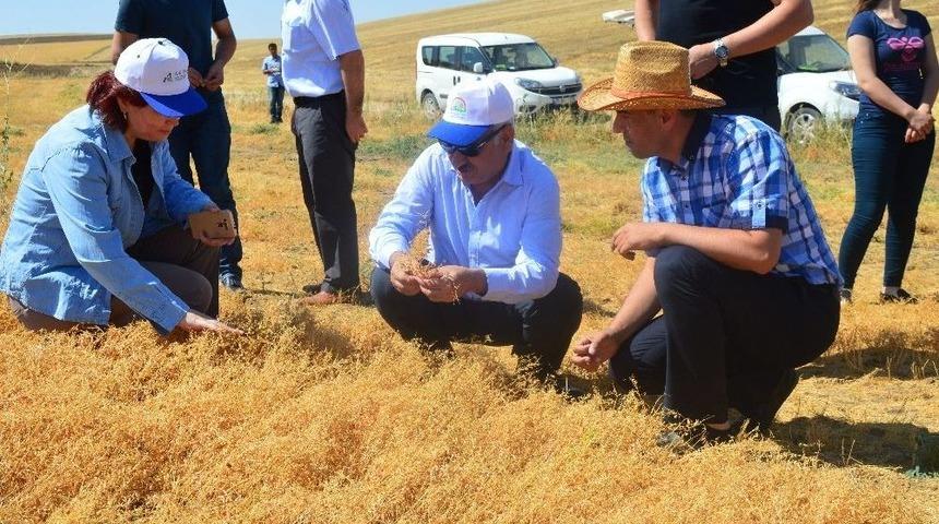 Yılmaz: &ldquo;işimiz Yenilik Ve Kolaylık Sunmak&rdquo;