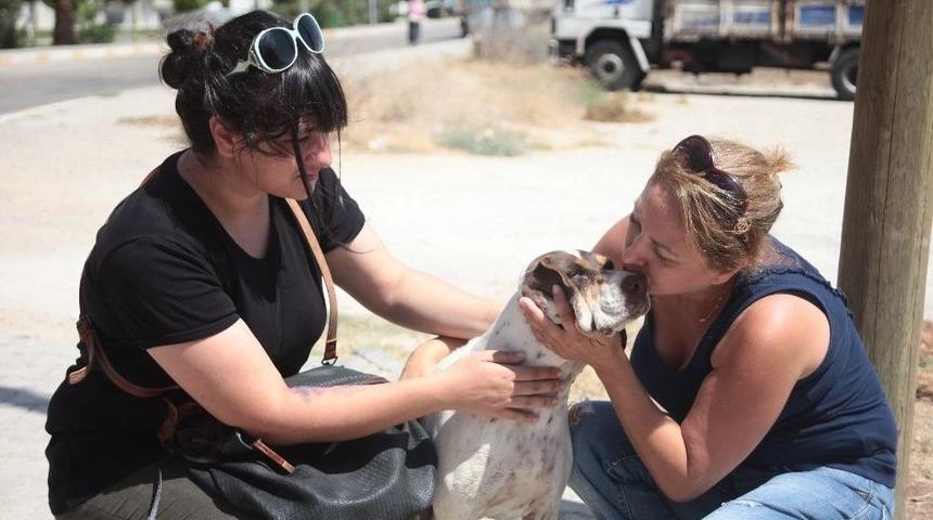 K&ouml;pekleri Zehirlemekle Tehdit Etti