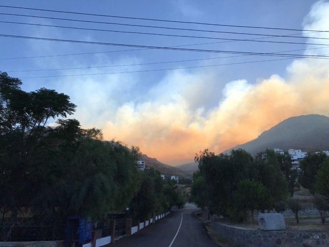 Bodrum&rsquo;da Yangın 20 Hektar Alana Zarar Verdi