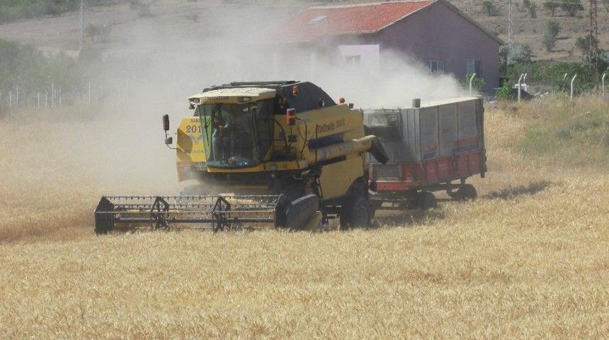 Kocasinan Ziraat Odası Başkanı Abd&uuml;lkadir G&uuml;neş: