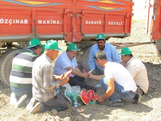 Kocasinan Ziraat Odası Başkanı Abdülkadir Güneş: