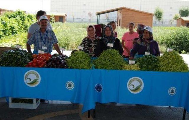 Doğal Ürünler Bahçesi Ve Pazarı Açıldı