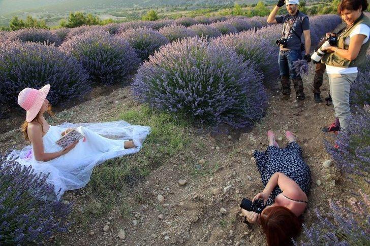 Lavanta Turizminde 80 Bin Ziyaretçi G2