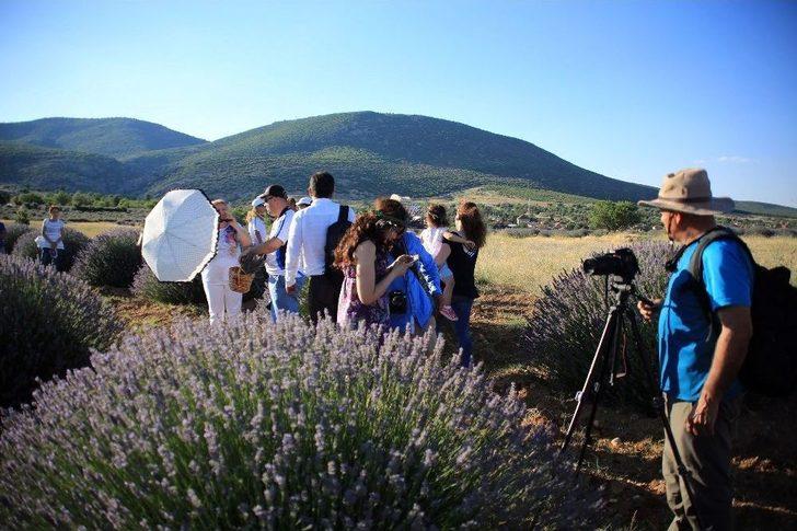 Lavanta Turizminde 80 Bin Ziyaretçi G5