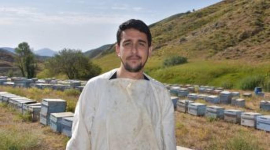 A&ccedil; Kalan Ayı, Kovanlara Zarar Verdi