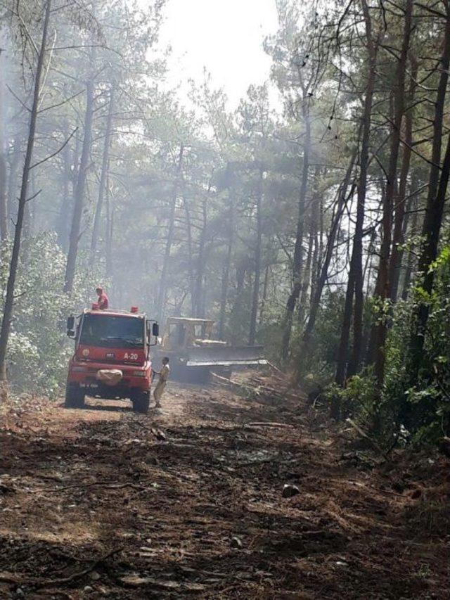 Hatay’daki Orman Yangını Kontrol Altına Alındı