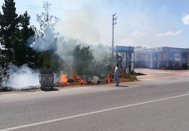 Yol Kenarında Tutuşan Otlar Korkuttu