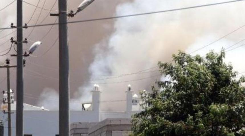 Kadıkalesi'ndeki Yangın Korkuttu (2)