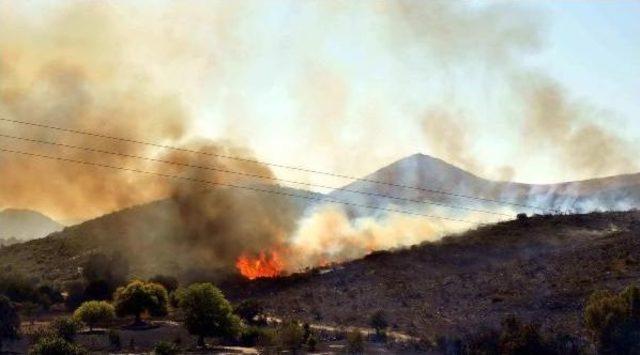 Kadıkalesi'ndeki Yangın Korkuttu (2)