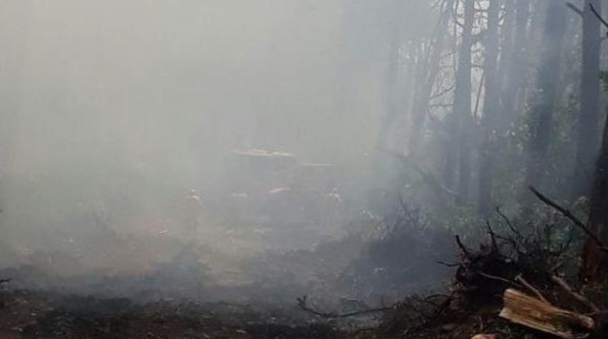 Amanoslar'daki Orman Yangınını S&ouml;nd&uuml;rme &Ccedil;alışması S&uuml;r&uuml;yor (2)