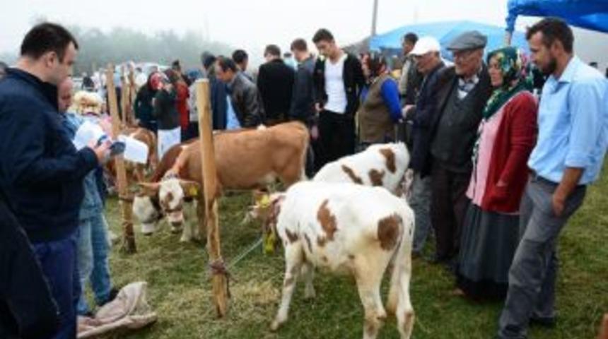 Başkan, Hemşehrilerini Şenliğe Davet Etti