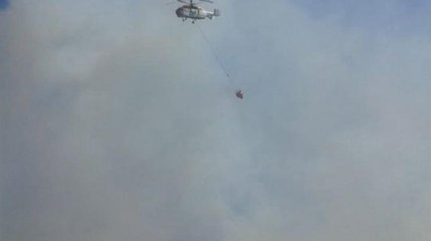 Balıkesir&rsquo;deki Orman Yangını Kontrol Altına Alındı