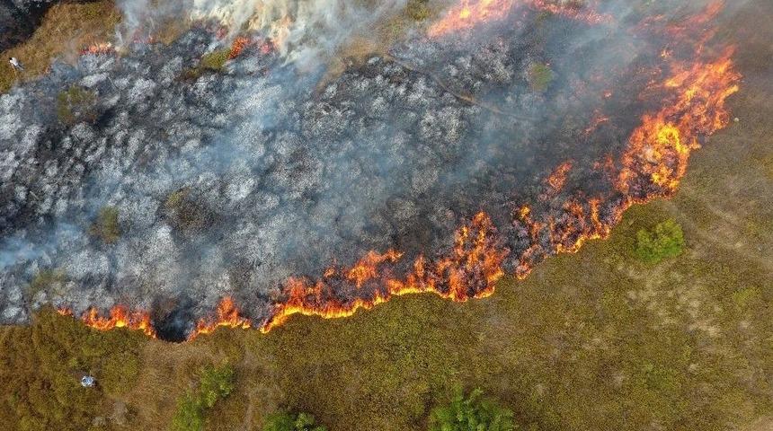 Sinop&rsquo;ta Orman Yangını