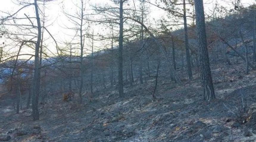 Chp&rsquo;Li Vekiller Yangın B&ouml;lgesinde