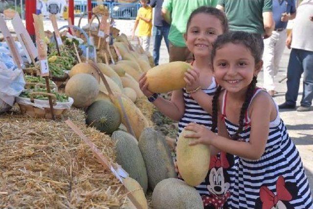 Silivri Belediye Başkanı; Tarım Gücü Ile Arazi Mafyasının Karşısında Duracağız