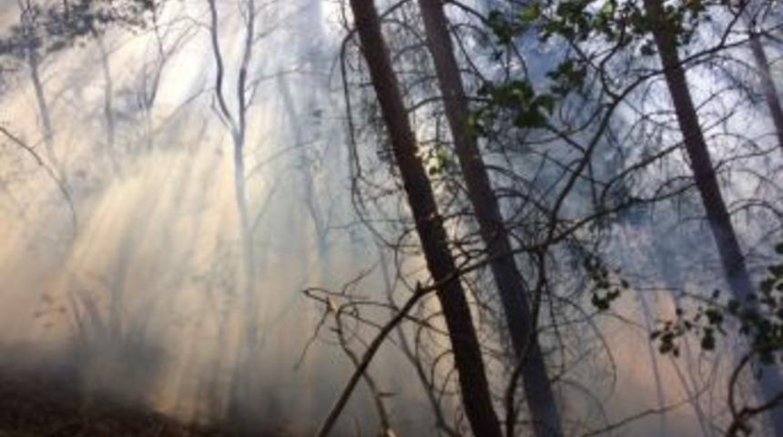 Pasinler&rsquo;de Orman Yangını