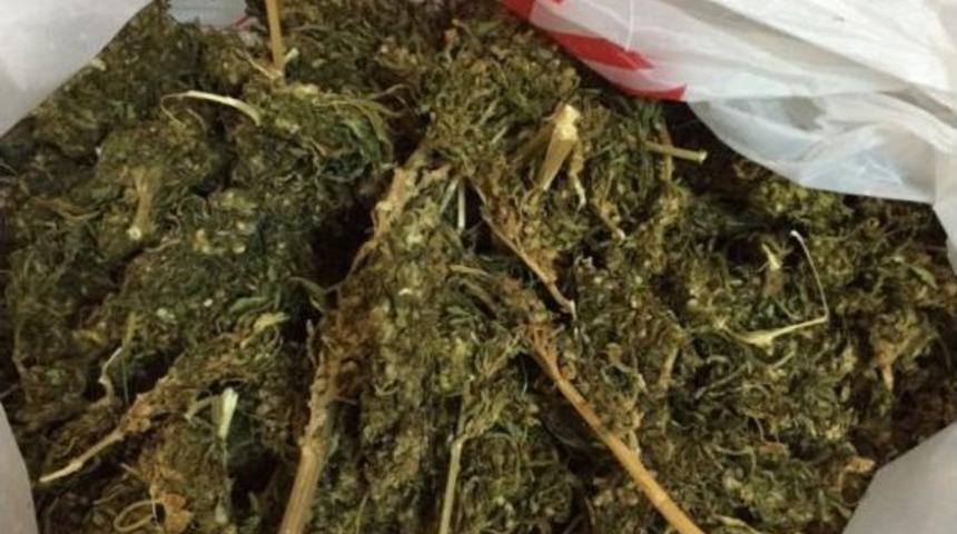 Kahramanmaraş&rsquo;ta Uyuşturucu Operasyonu: 5 G&ouml;zaltı