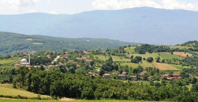 İstanbul Müftüsünden Başkan Doğan’a Ziyaret