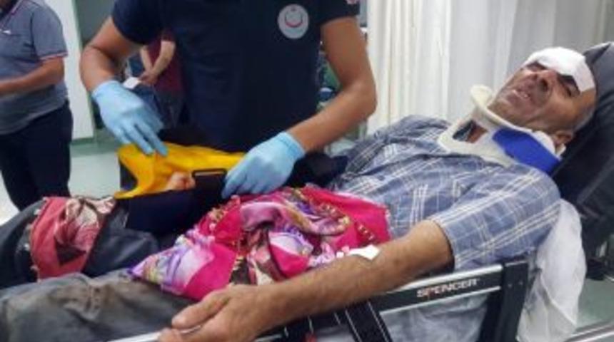 Ağa&ccedil; Budarken Tuttuğu Dal Kırılınca D&uuml;şen Şahıs Hastanelik Oldu