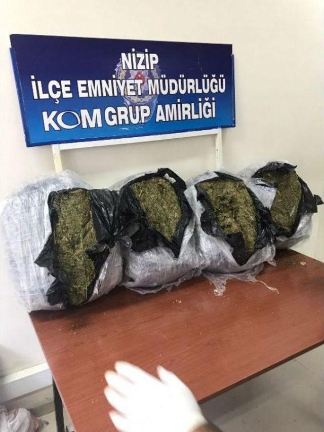 Nizip'te 50 Kilo Esrara Tutuklama