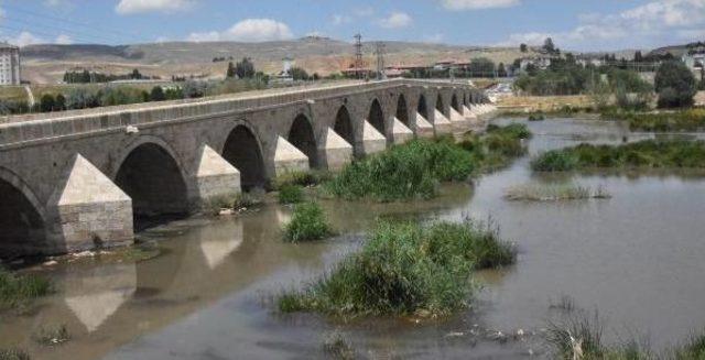 Kızılırmak ta Ölen Balıklar 2