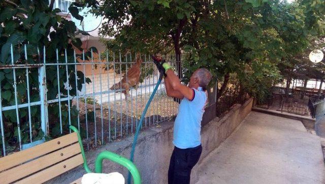 Demirlere Sıkışan Kediyi İtfaiye Kurtardı 1