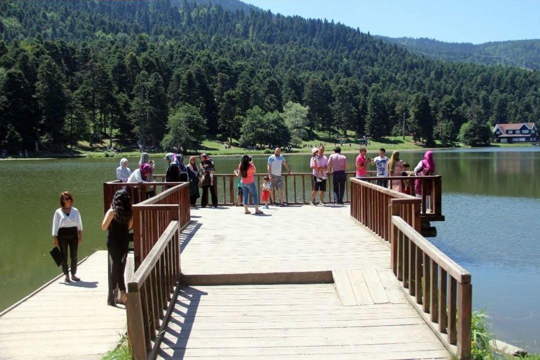 G&ouml;l &Uuml;zerindeki Nil&uuml;ferler G&ouml;renleri Hayran Bıraktı