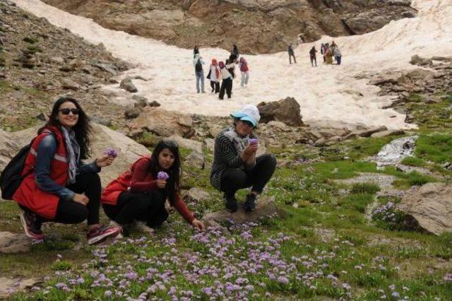 Hakkari'ye Gelen 20 Üniversiteli Berçelan Yaylası'nı Gezdi