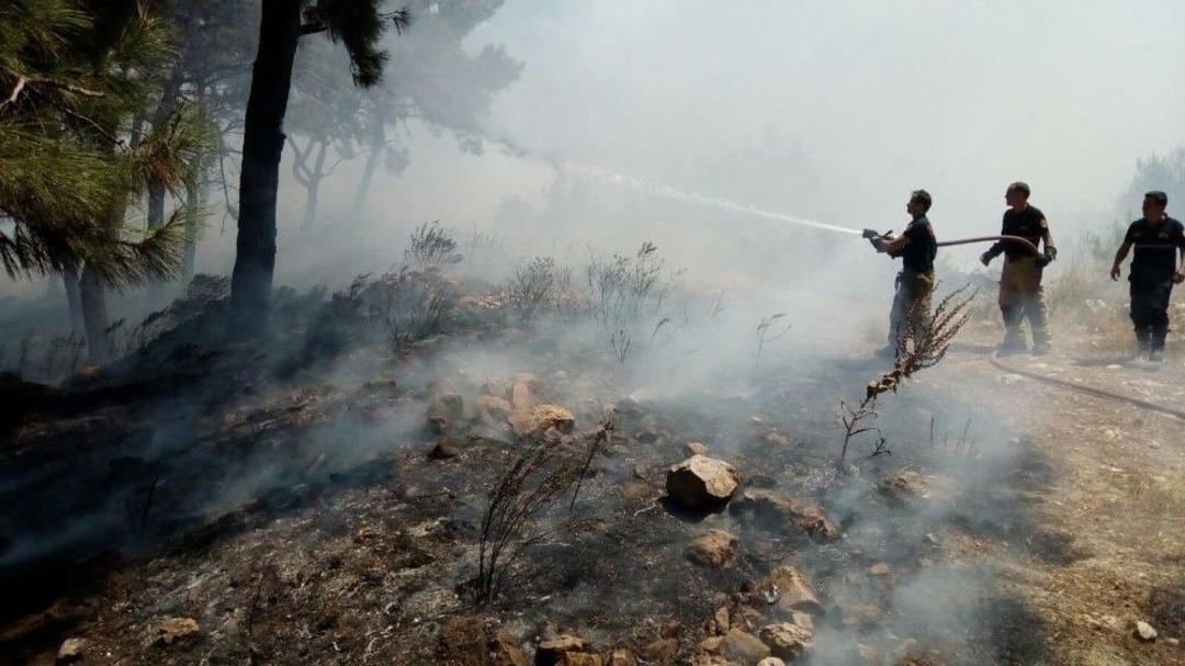 İzmir&rsquo;de D&ouml;rt Ayrı Noktada Yangın