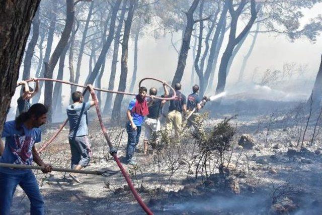 İzmir'in 4 Ayrı Ağaçlık Alanda Aynı Anda Yangın Çıktı