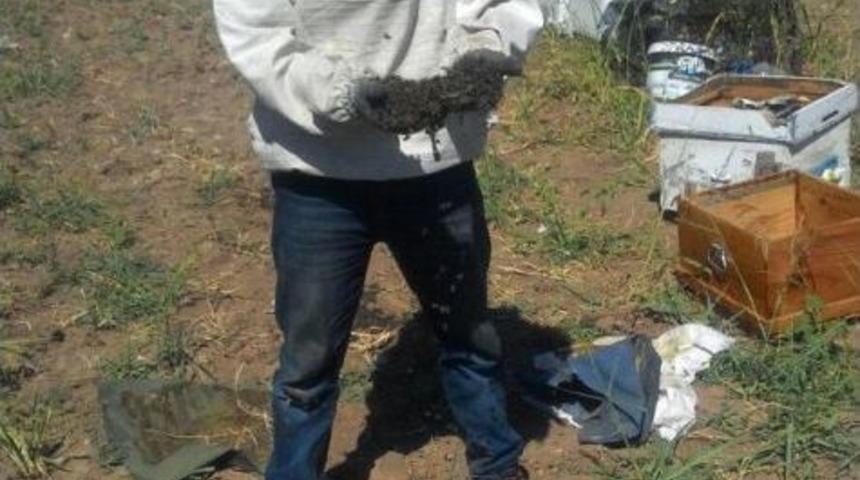 Kovanların Ağzını Toprakla Kapatıp, Arıları Telef Ettiler