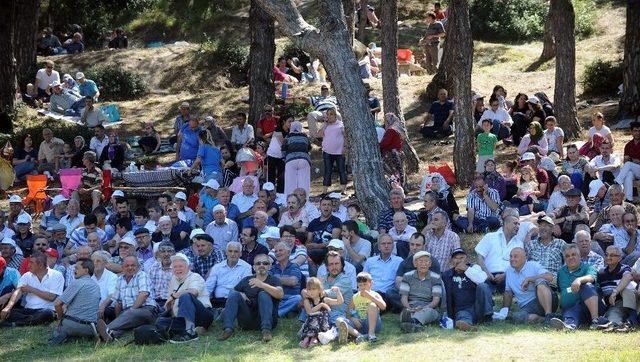 Başbakan Yardımcısı Çavuşoğlu, 18. Batı Trakyalılar Panayırı’na Katıldı