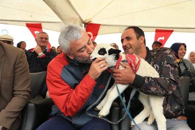 Ordu Yayla Şenliğinde Coştu