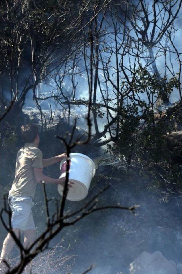 Göltürkbükü'nde Korkutan Makilik Yangını