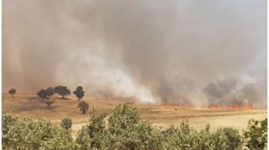 Darge&ccedil;it&rsquo;te Arazi Yangını