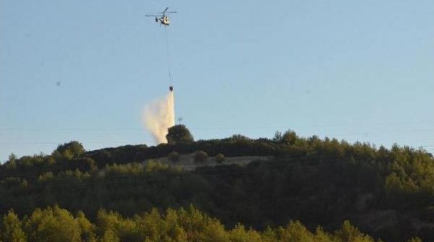 Denizli'de 5 Hektar Ormanlık Alan K&uuml;l Oldu