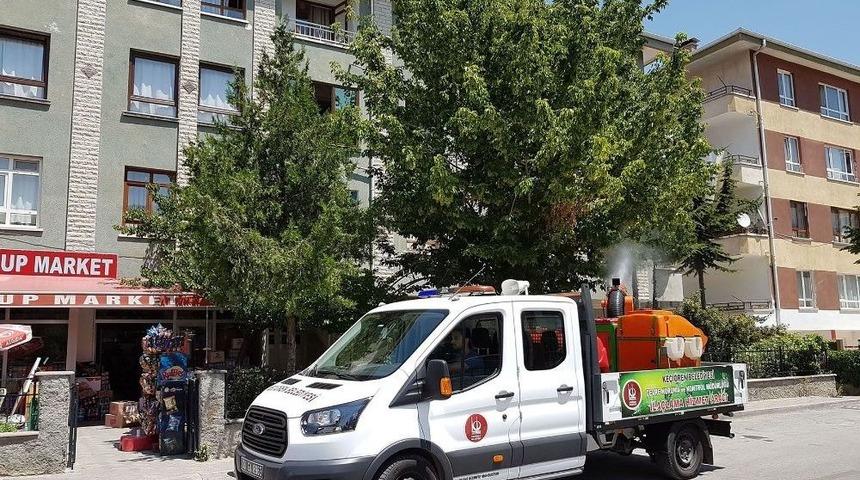 Ke&ccedil;i&ouml;ren&rsquo;de Haşerelere Karşı Tam Seferberlik