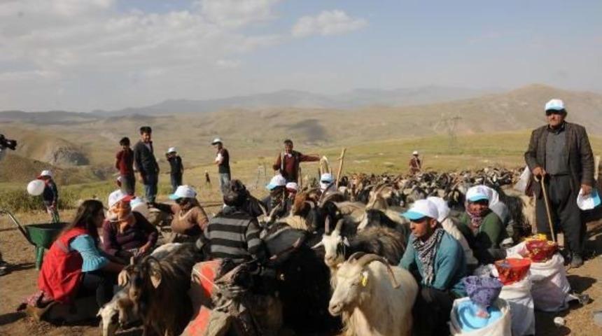 &Uuml;niversiteliler Ber&ccedil;elen Yaylası'ndaki Kış Hazırlığına Yardım Etti