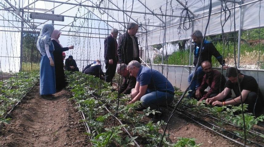 Bayder, Seracılar Yetiştiriyor